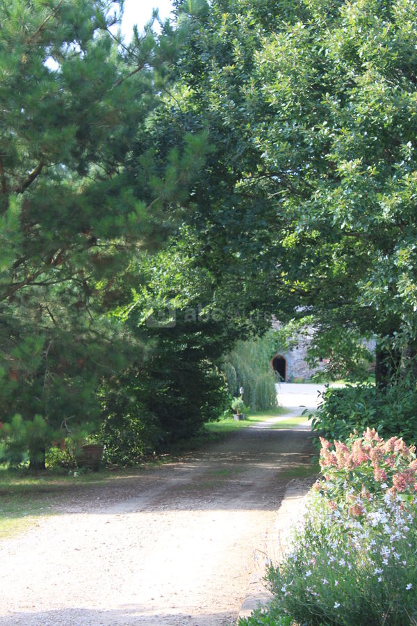 L'allée principale