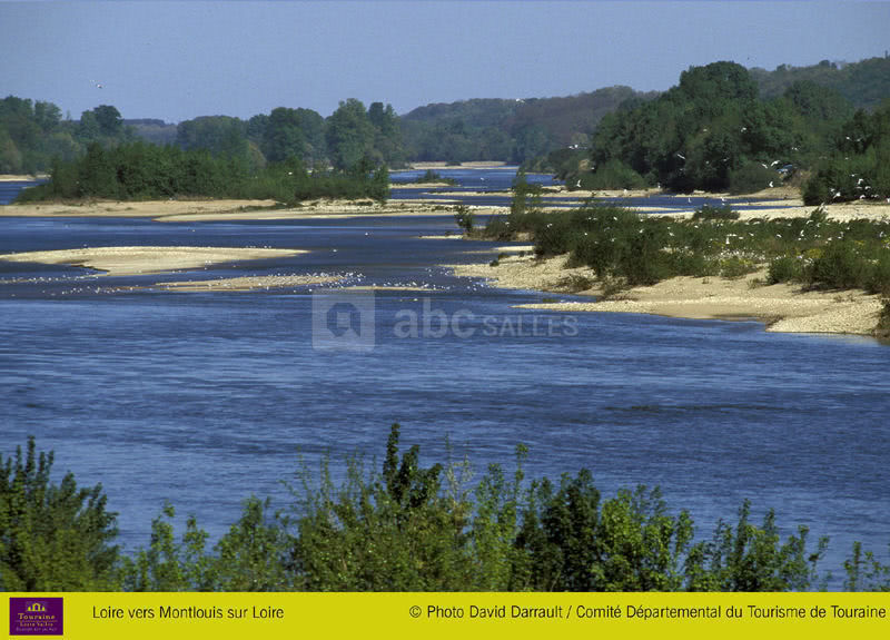 Descente de la loire