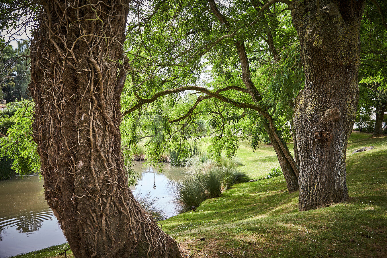 Parc