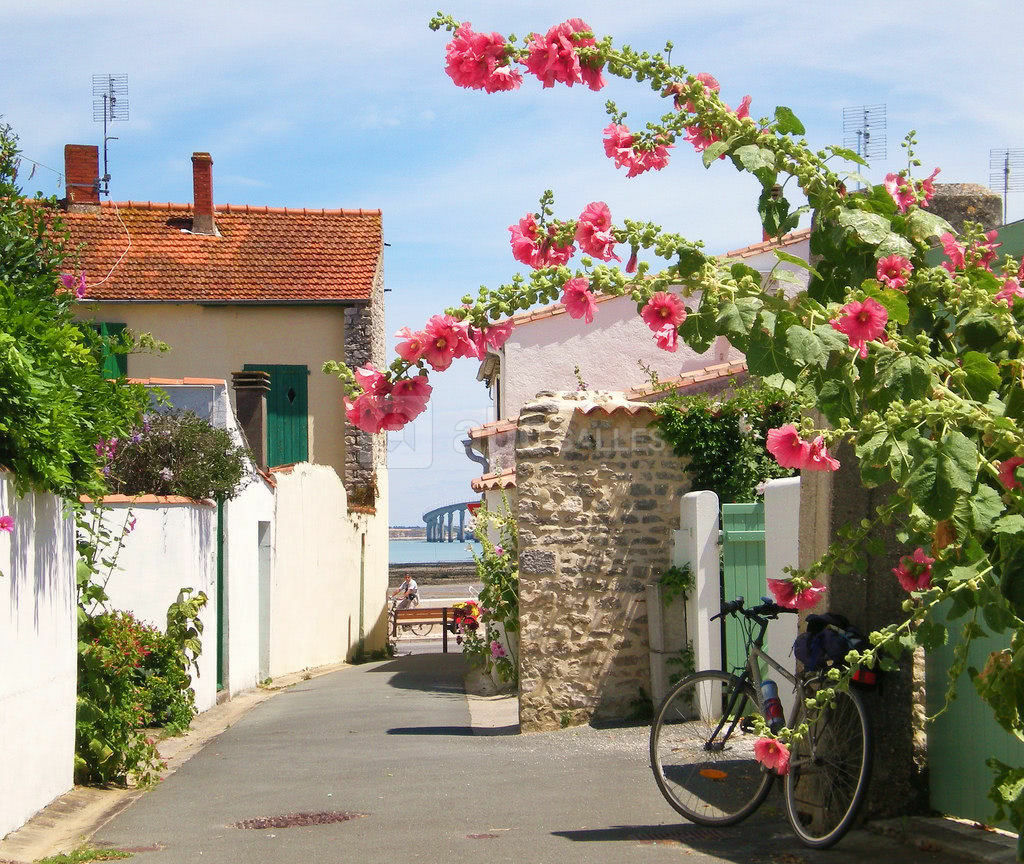 Ruelle
