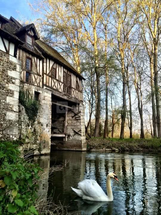 Le Moulin d'Andé