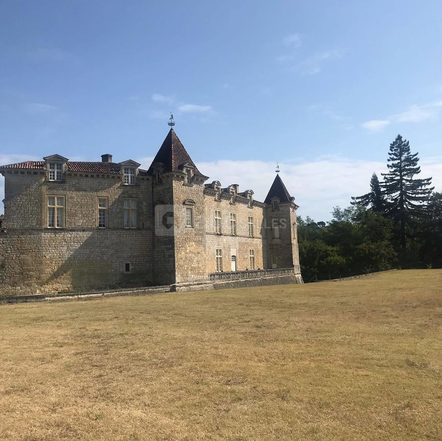 Château de Cazeneuve