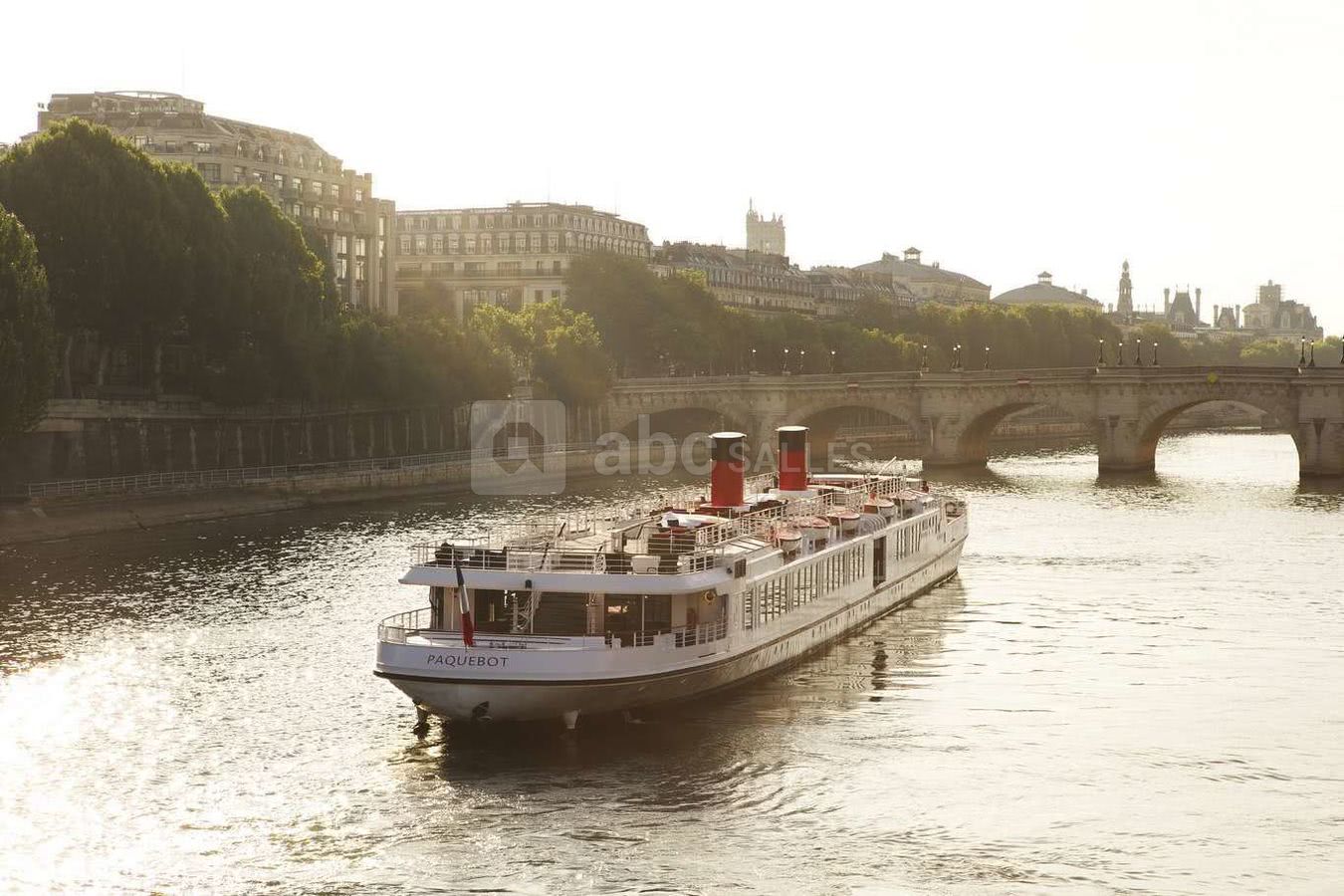 Paquebot devant Pont Neuf