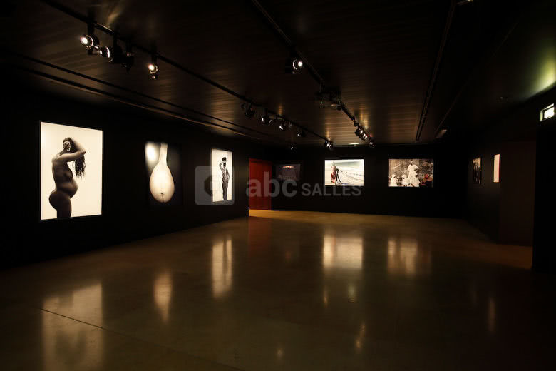 Salle d'exposition n°1