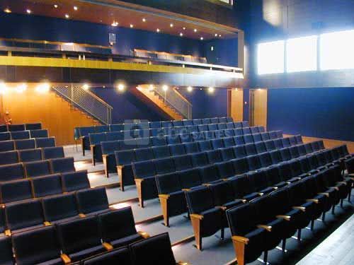 Auditorium 200 places, entièrement équipé