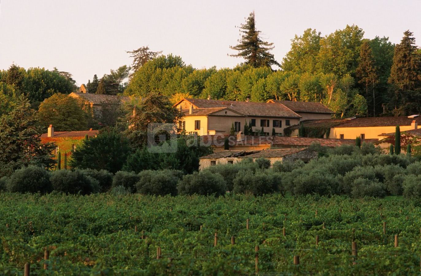 Château