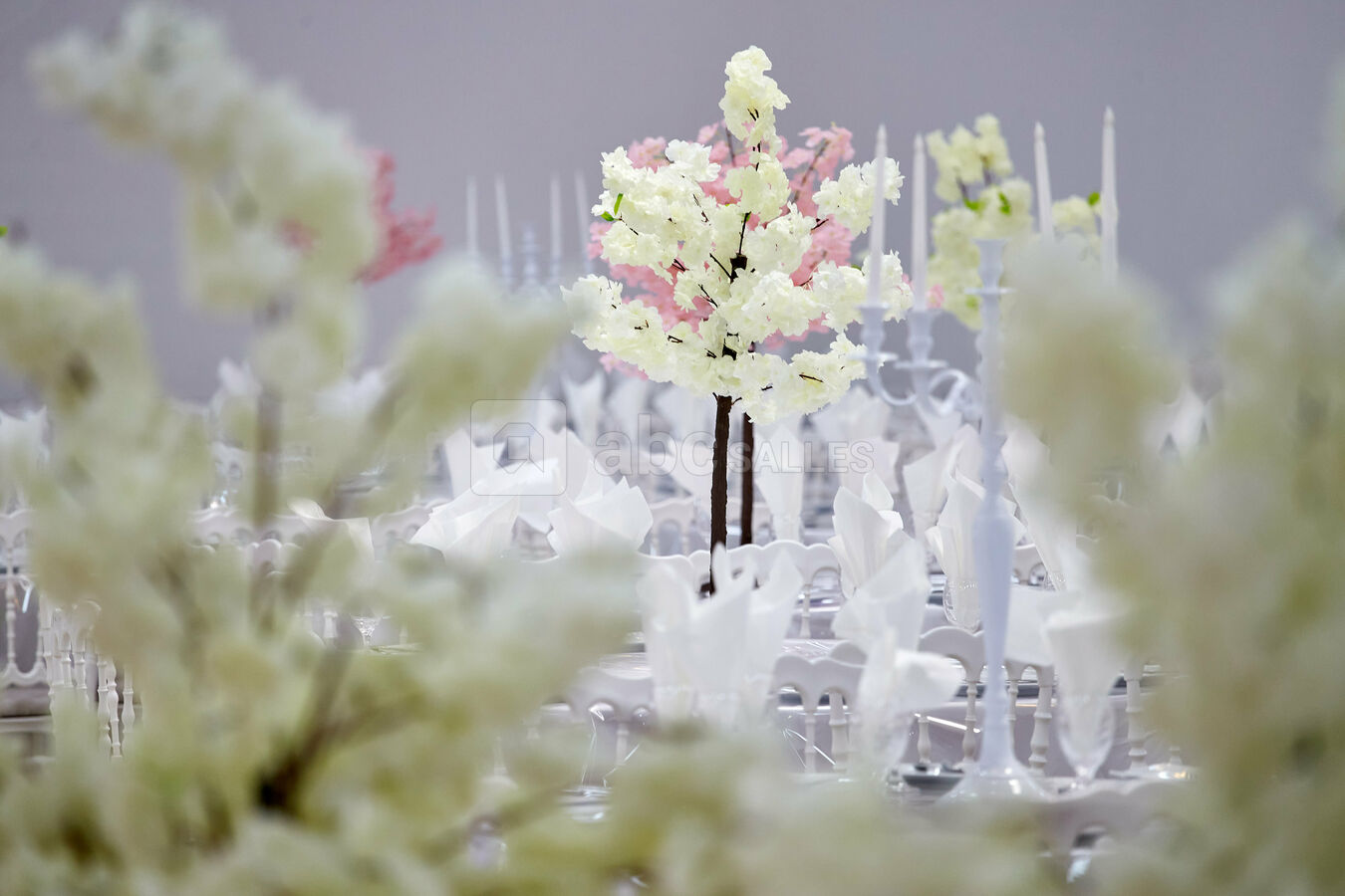 Espace Alliance - Galilée