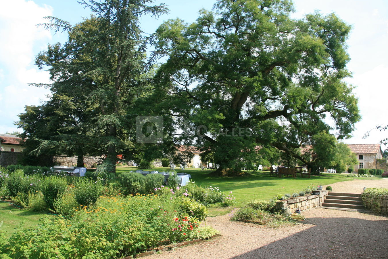 Détail sur le parc du Domaine de Montplaisir