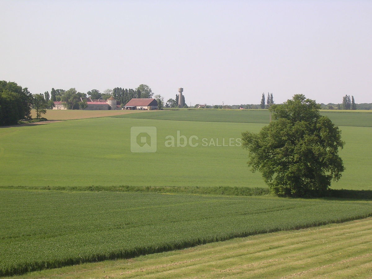 Champ et petit village