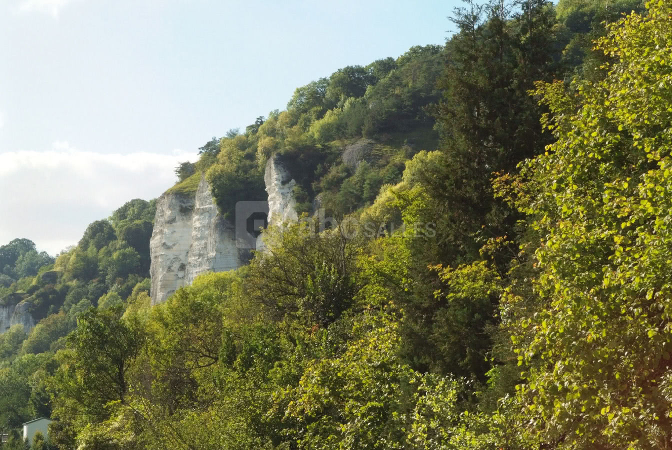 Vue depuis le jardin et l'hôtel