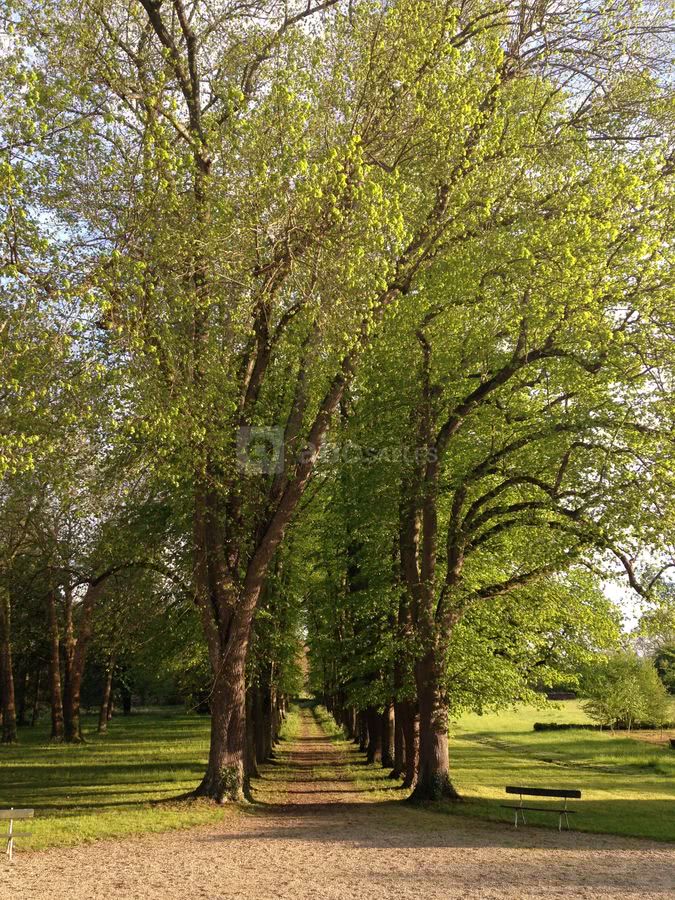 Le parc
