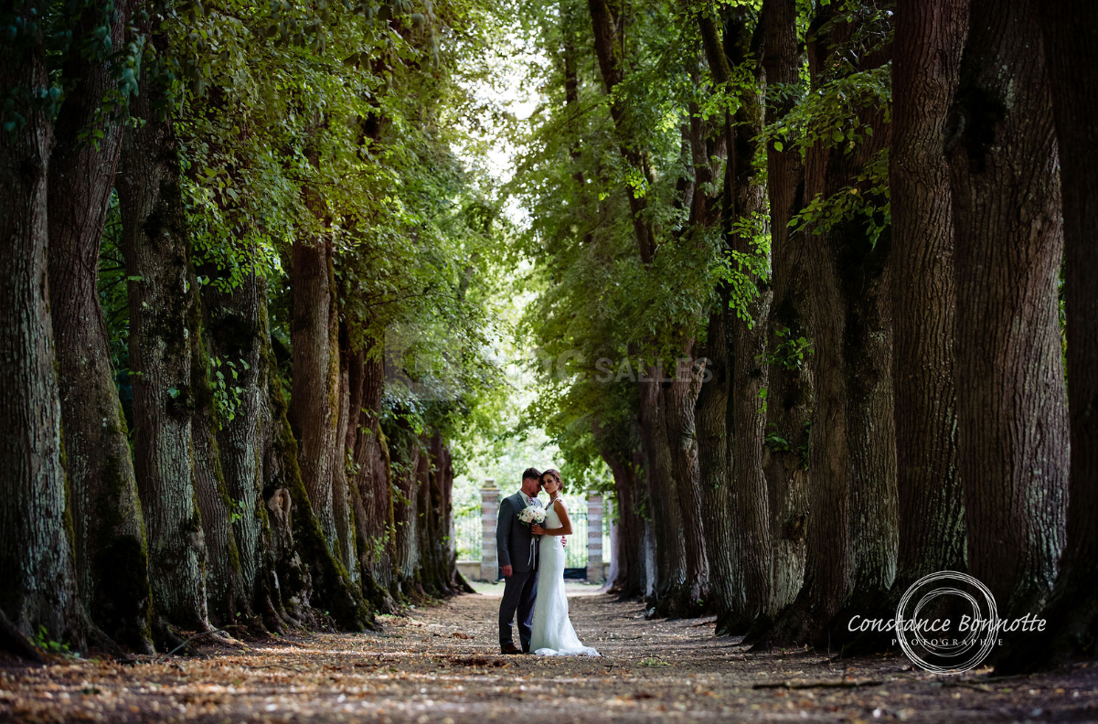 Photo de couple dans l'allée des tilleuls