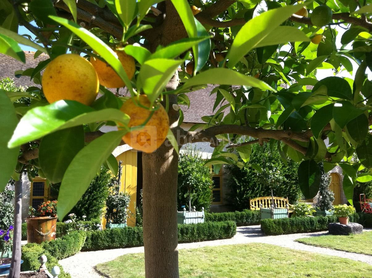 Jardins de l'orangerie