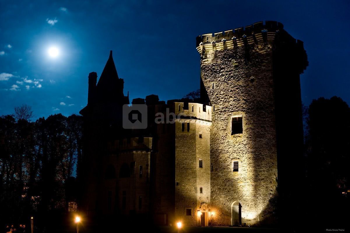 Encrenoire.com Le Donjon médiéval du Château de saint-loup