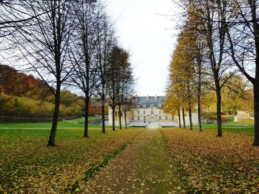L'avant cour