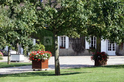 Jardins fleuris