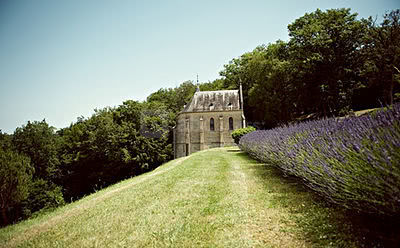 Château de Lacoste