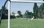 Terrain de football