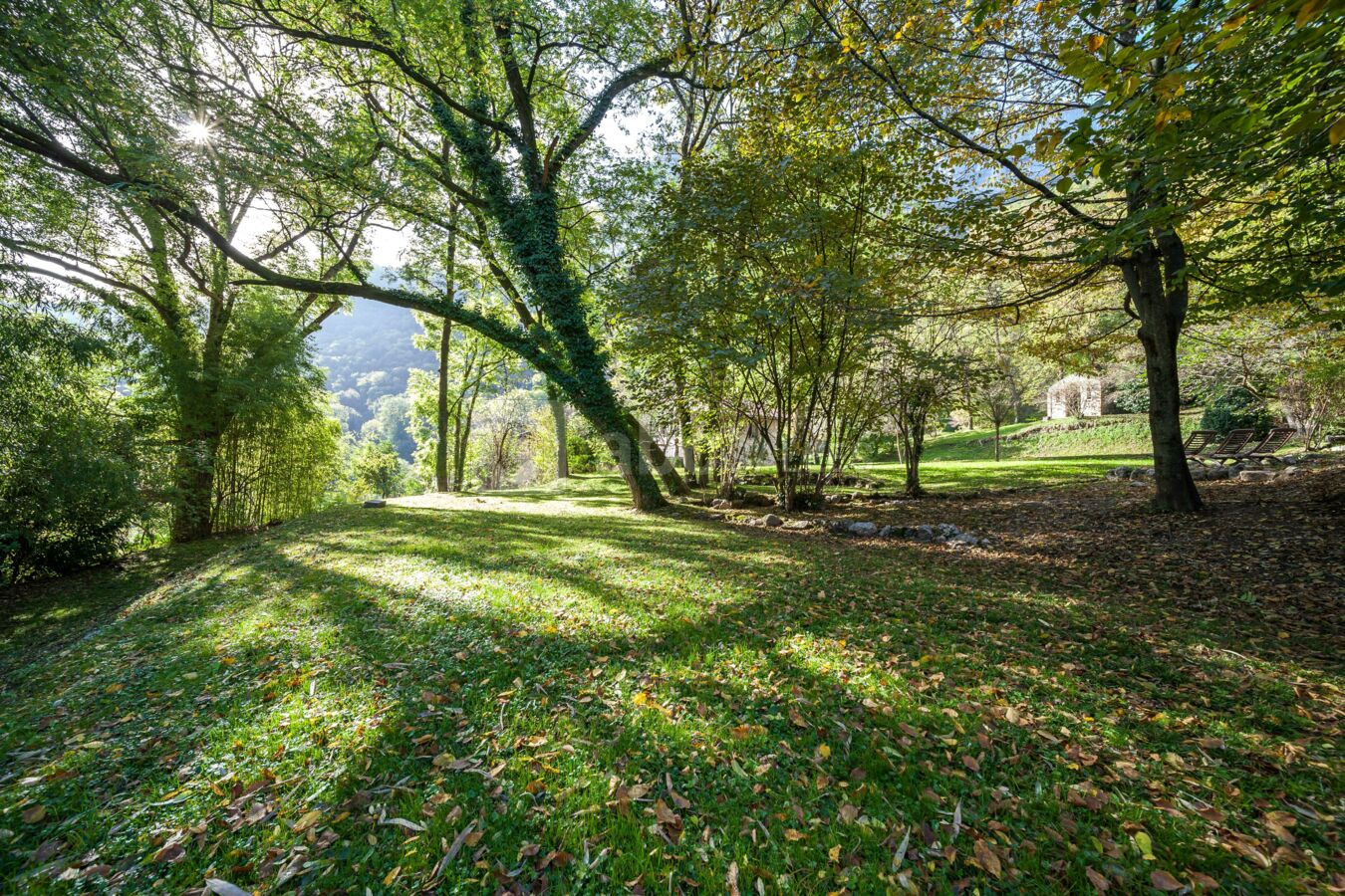 Parc du chateau