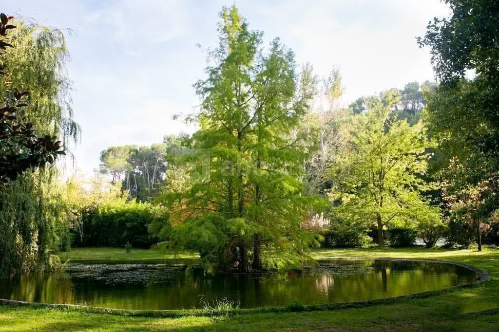 Étang du Pré du Moulin