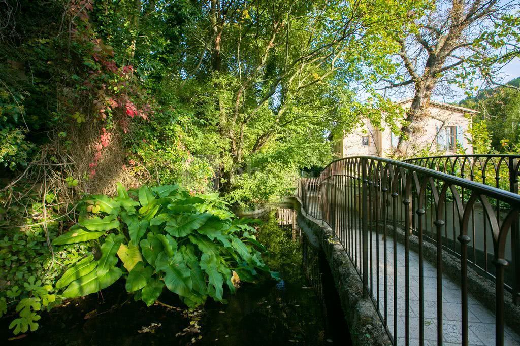 La route du parc longeant la rivière