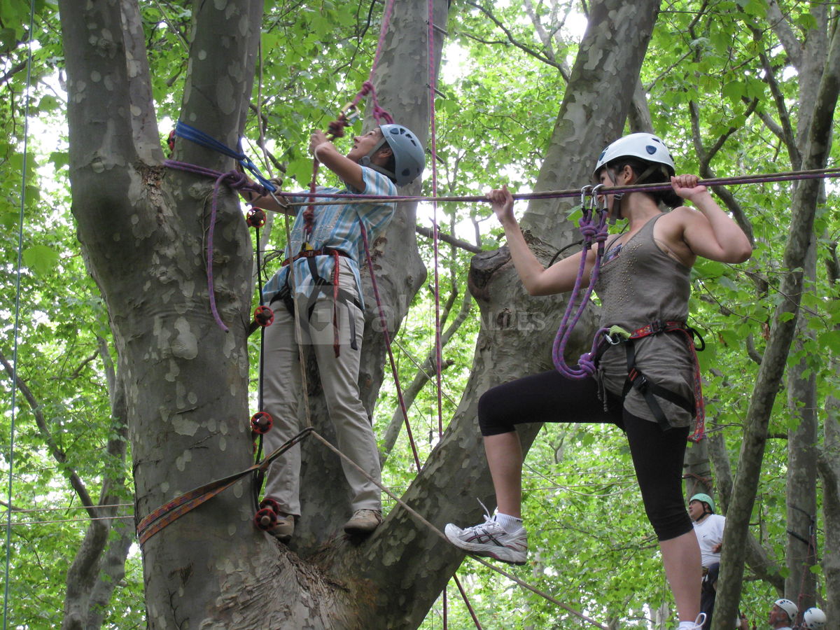 Accro branches dans notre parc