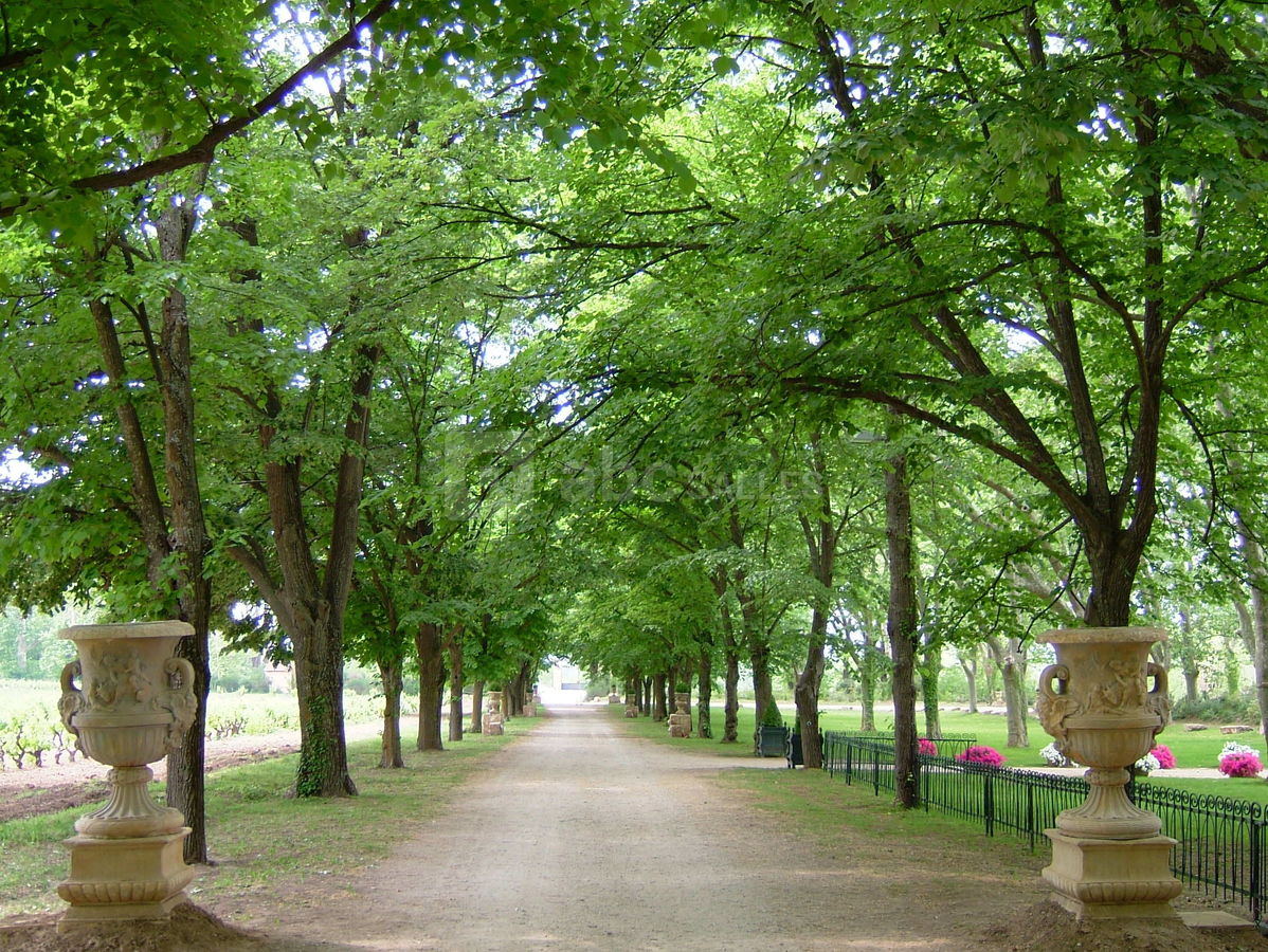 Grande allee d'accueil
