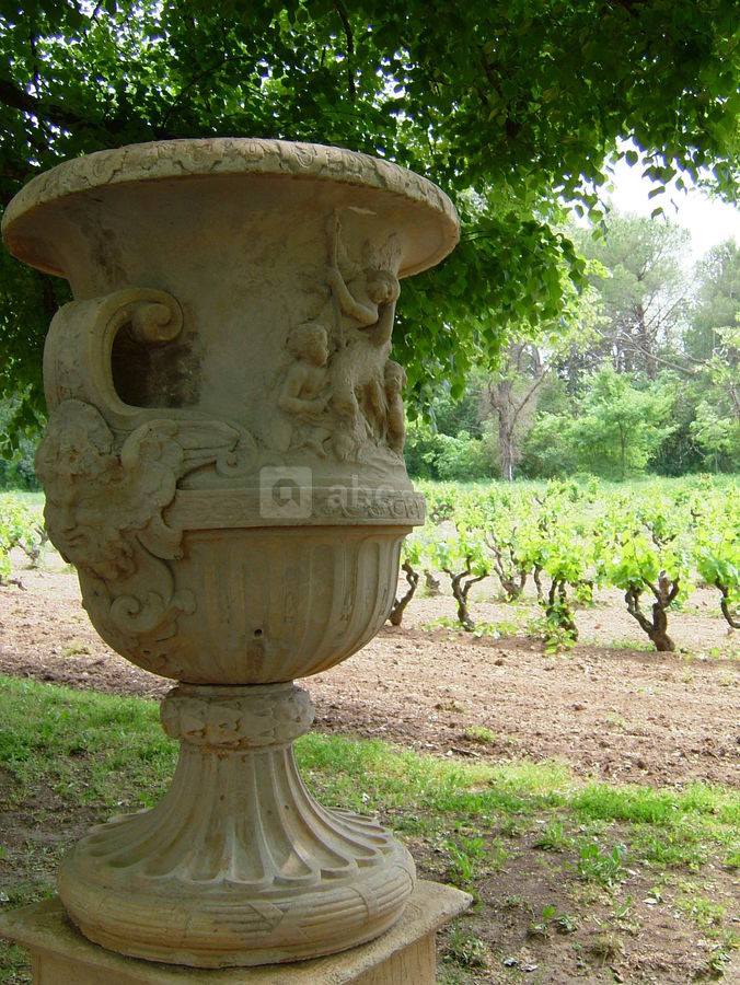 Notre vignoble