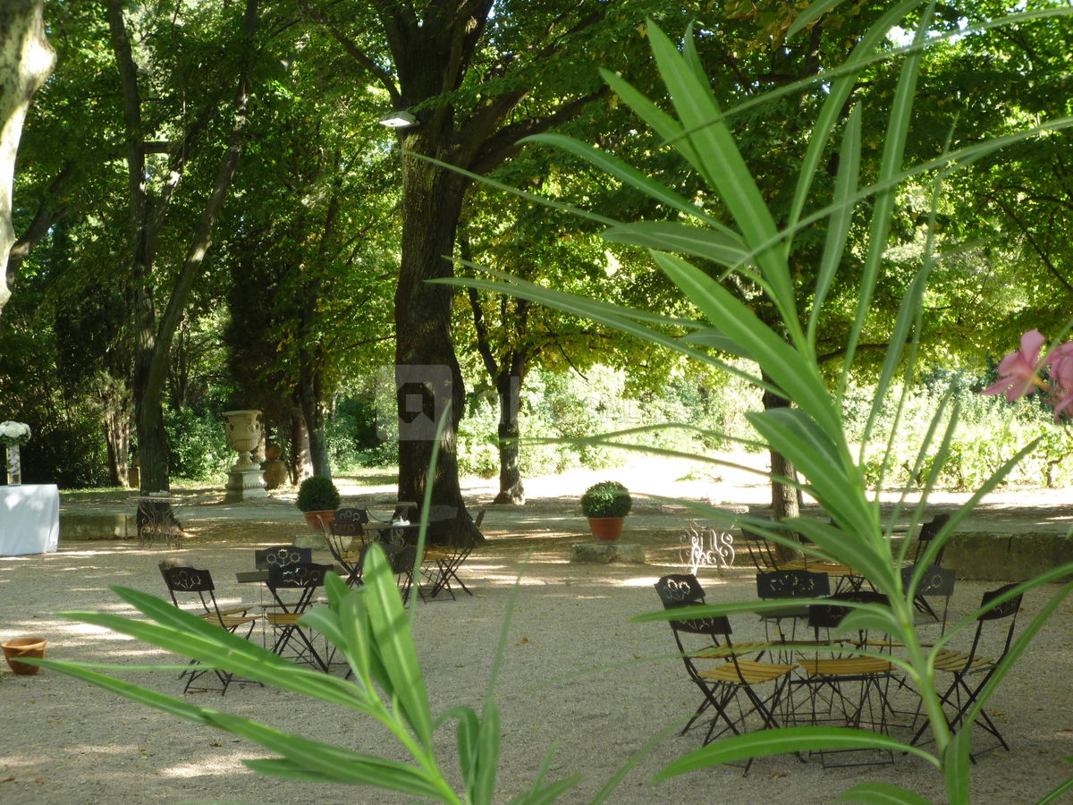 Aire de cocktail dans le parc devant le chateau