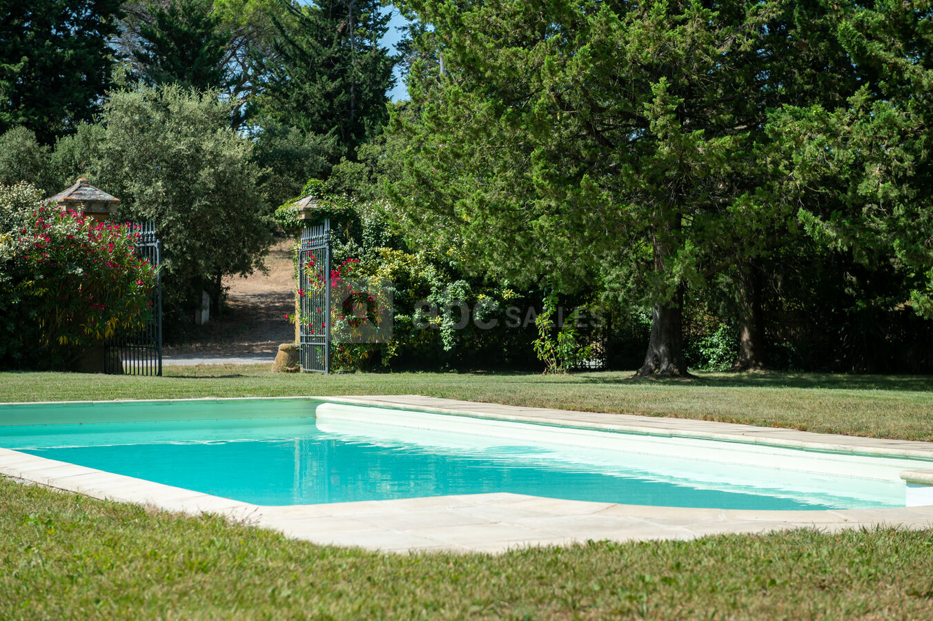La piscine