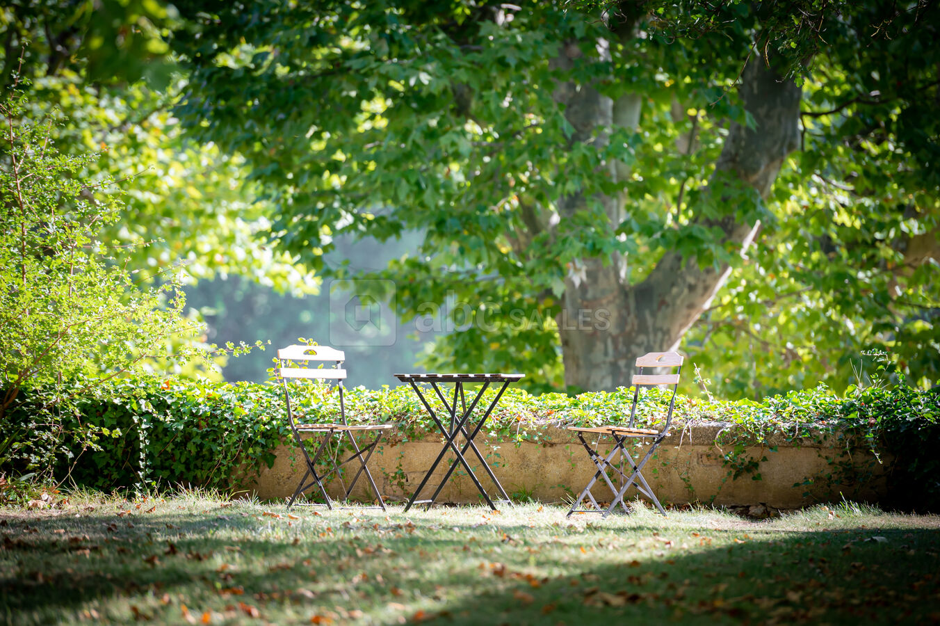 La terrasse de l’ancien chenil