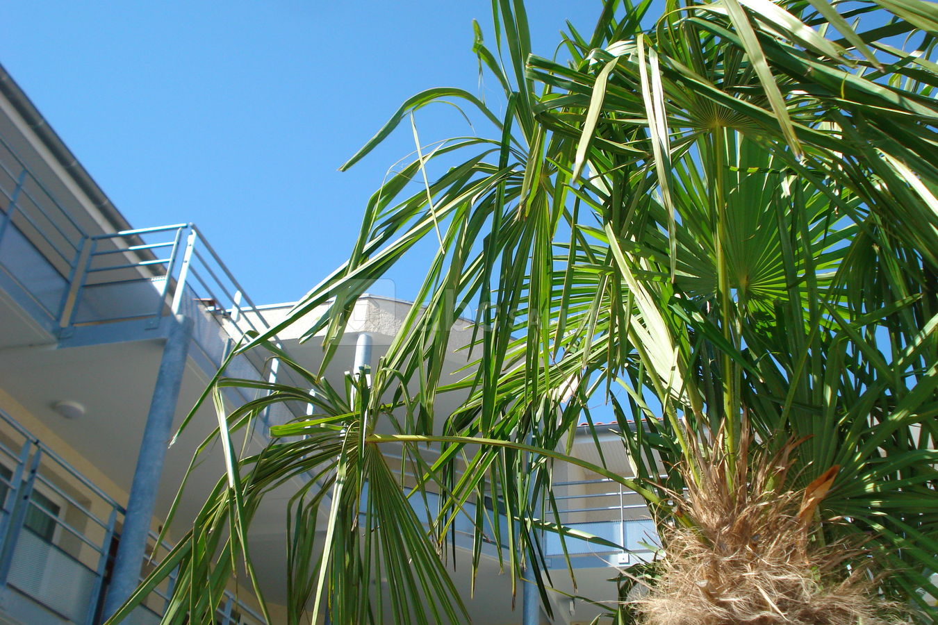 Jardin