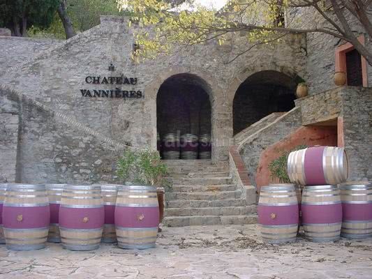 Chateau vannieres