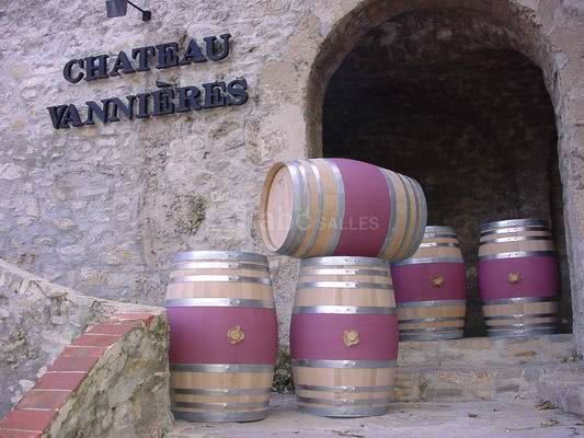 Chateau vannieres