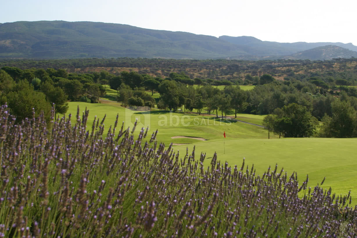 Vue du golf