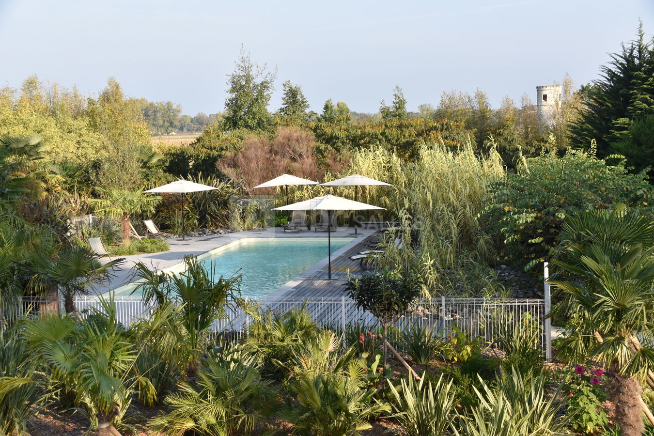 Piscine chauffée