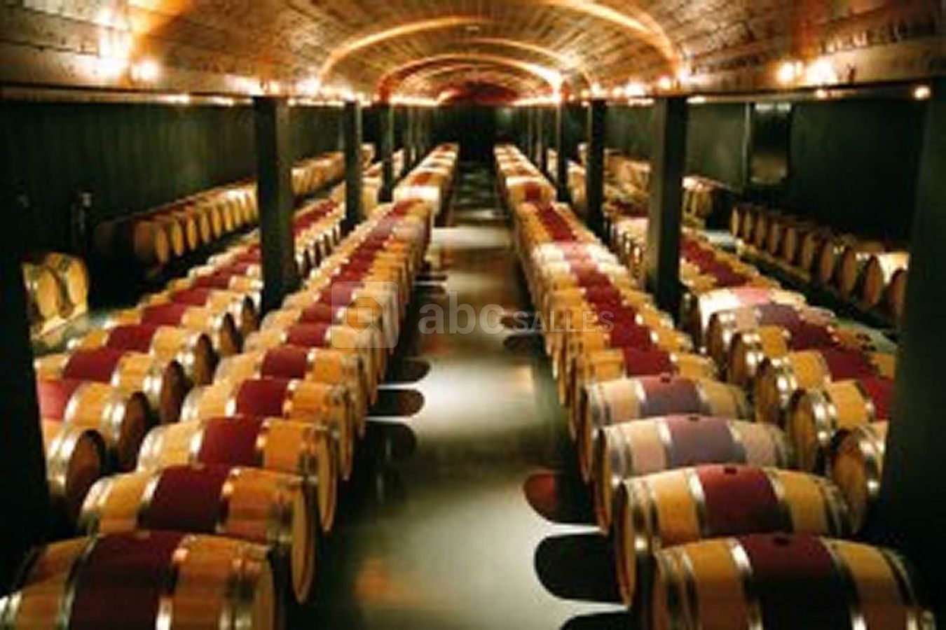 Les chais du chateau bertinerie