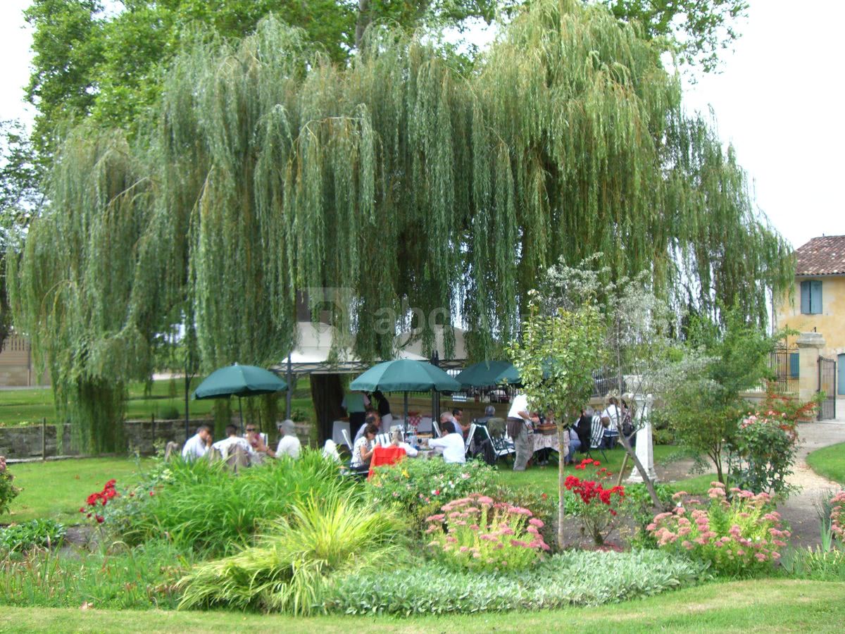 Déjeuner sur l'herbe