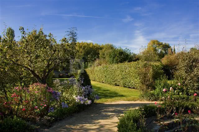 Le jardin
