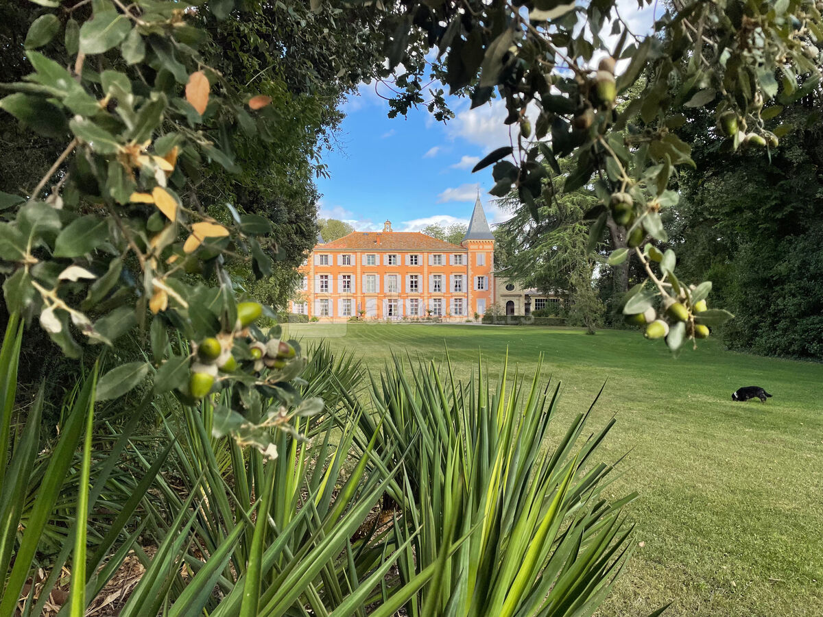 Le parc et sa pelouse