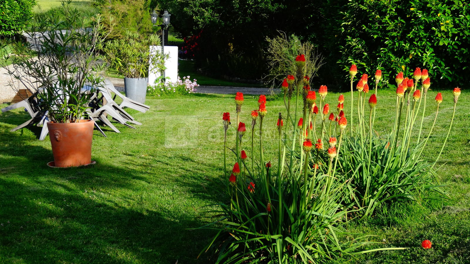 Le Parc fleuri