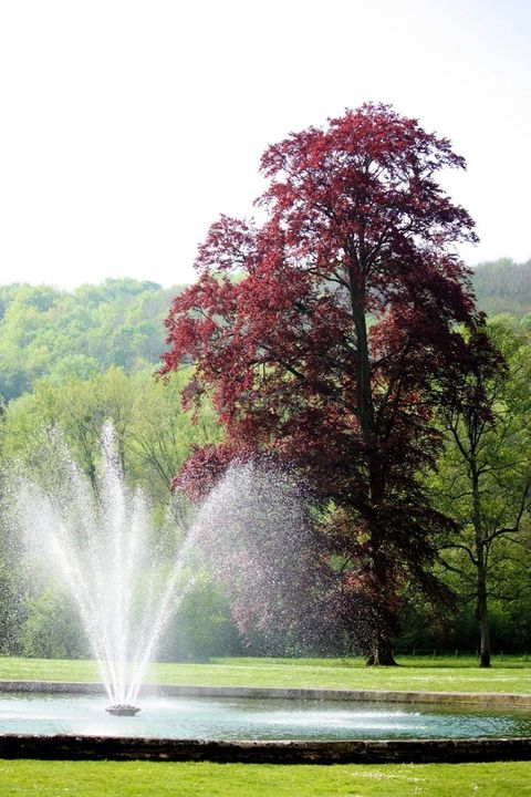 Notre magnifique fontaine