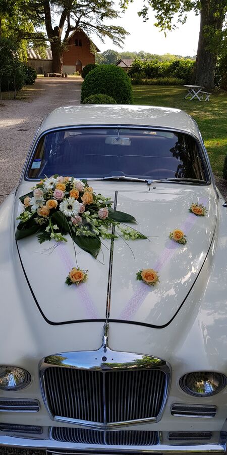 Jaguar 420: détails