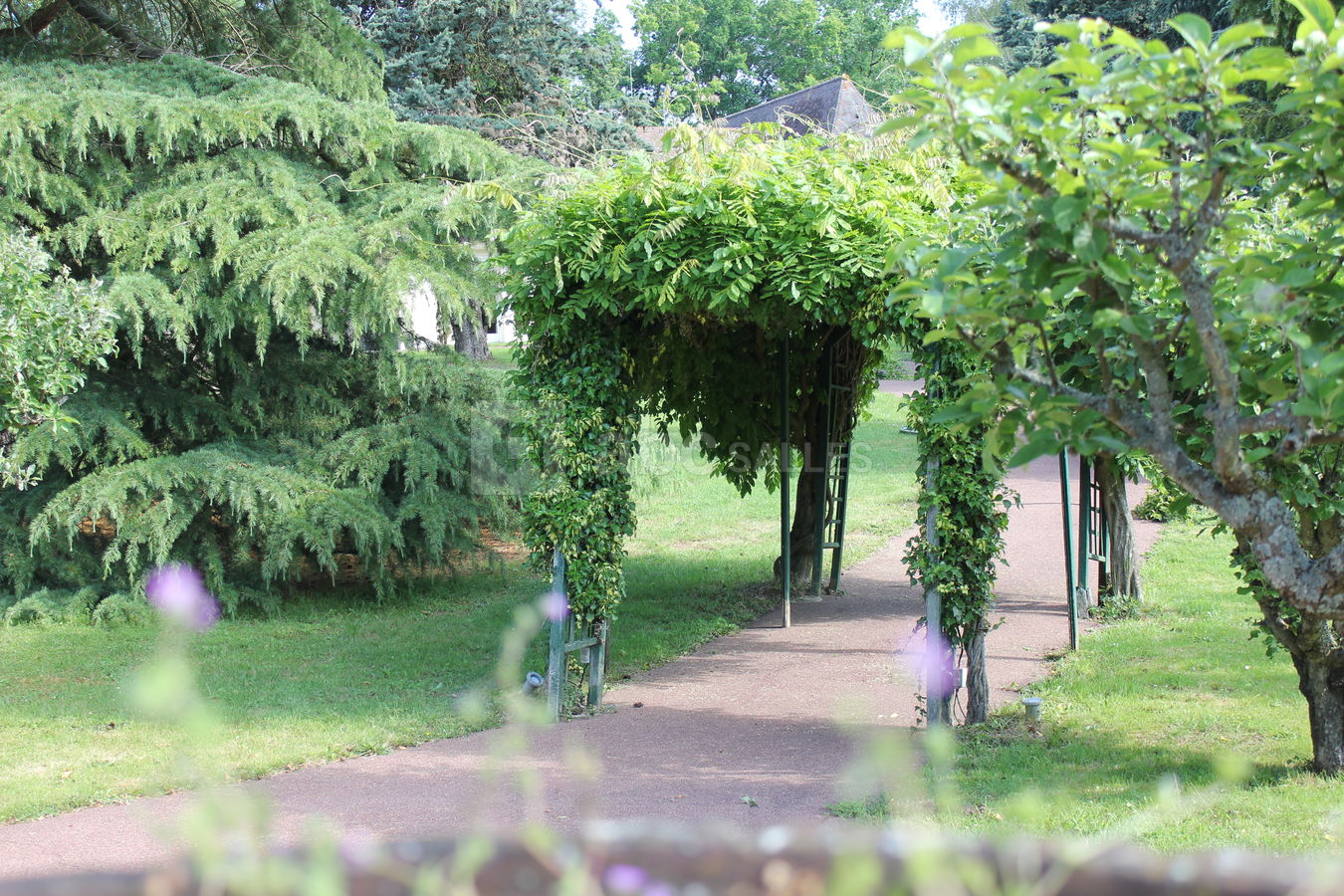 Espace la Patulière - Arche