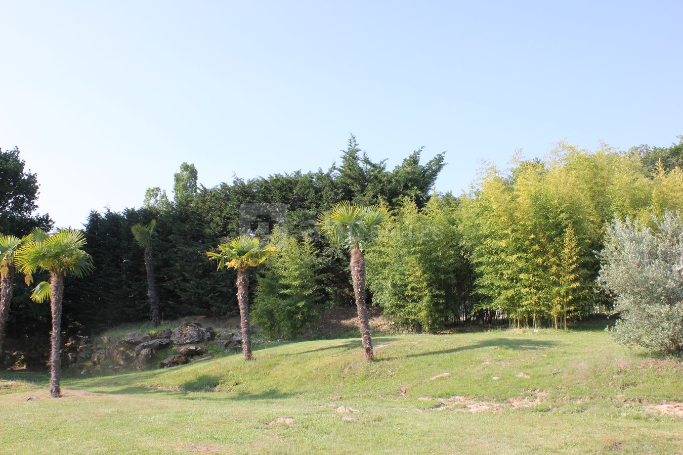 Espace la Renarde - Jardin arboré