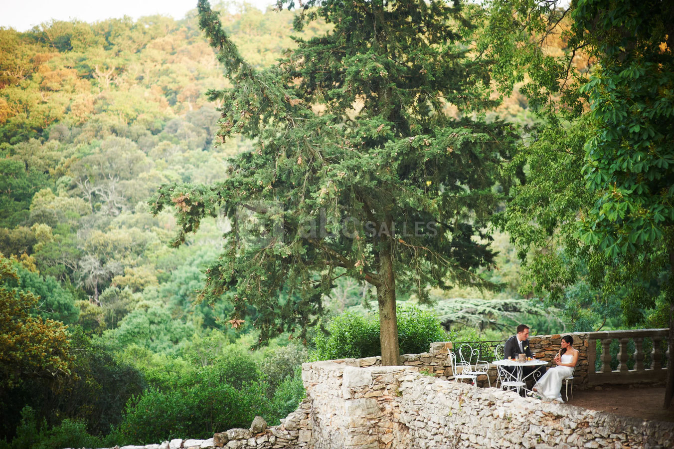 Château Bas d'Aumelas