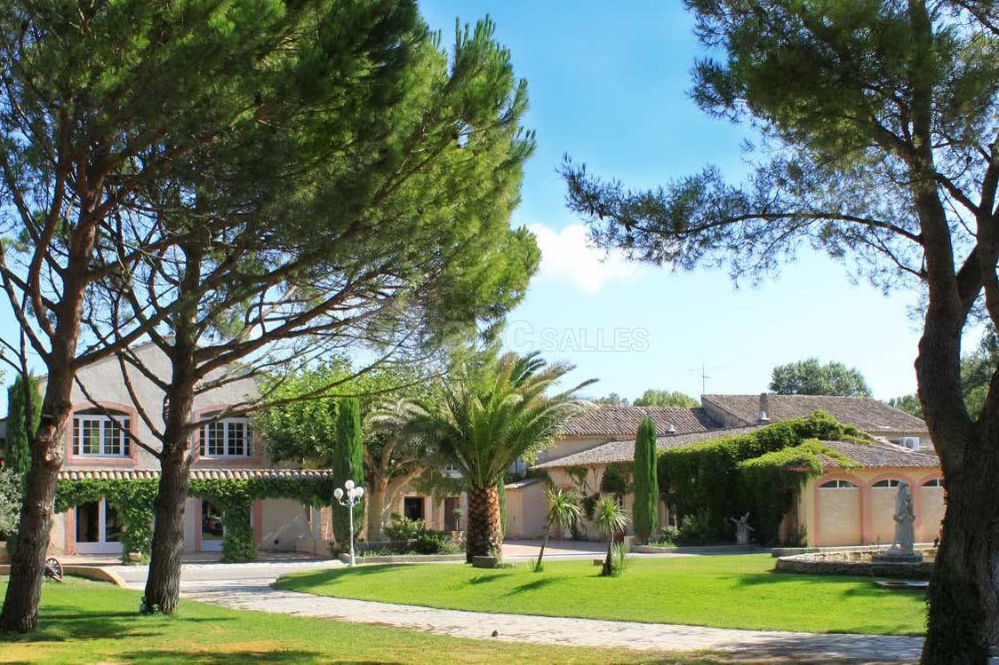 Parc sous les pins