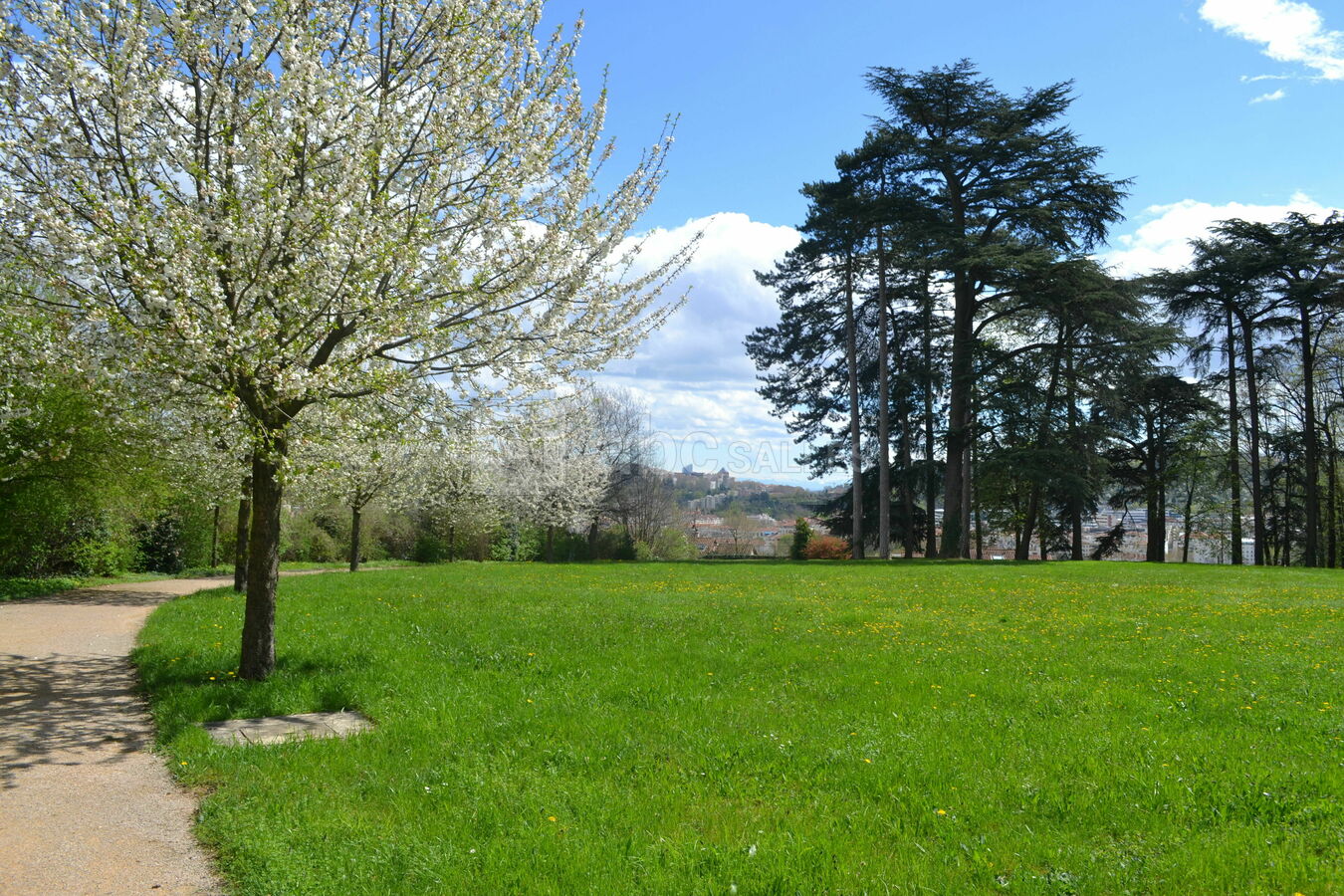 Un parc de 6 hectares