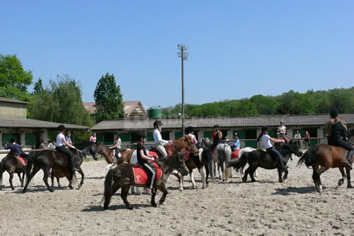 Poneys