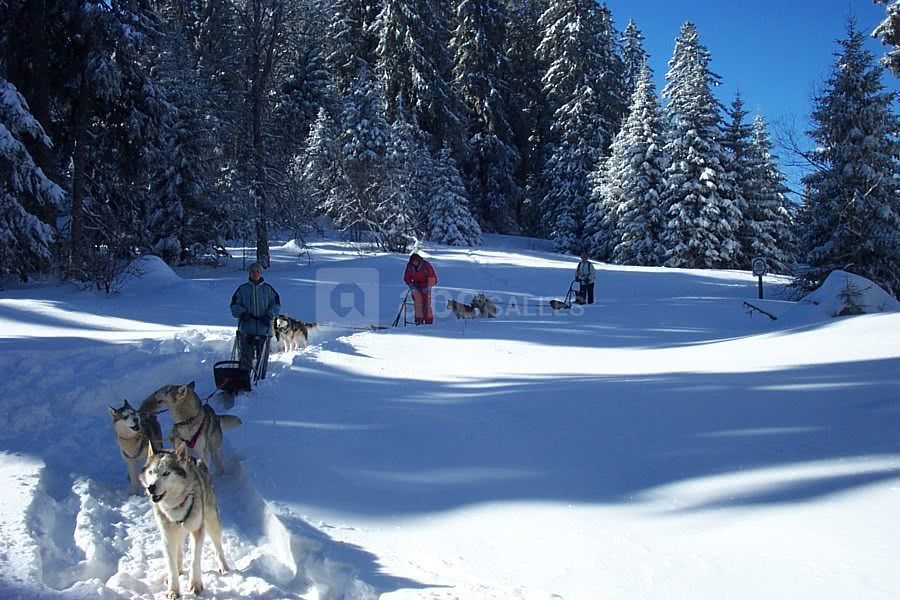 Incentive sur le lac du bourget